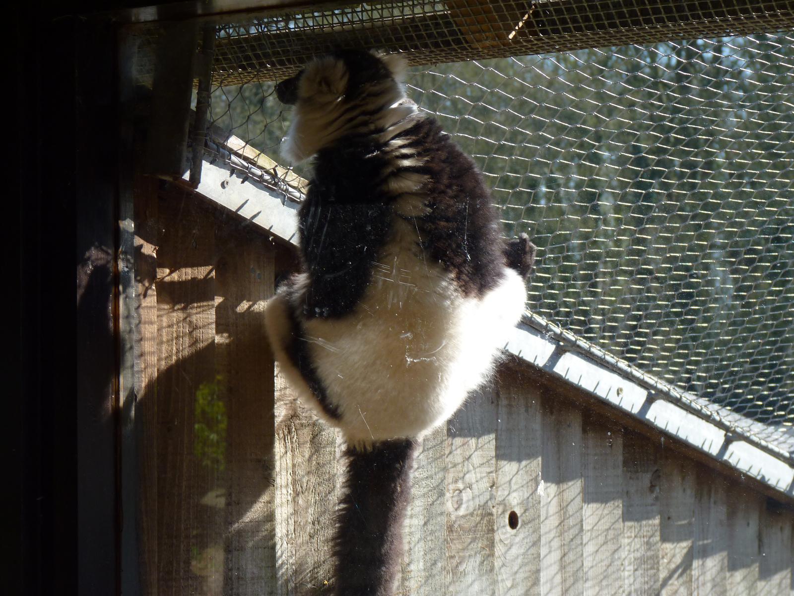 Checking for Flaws...