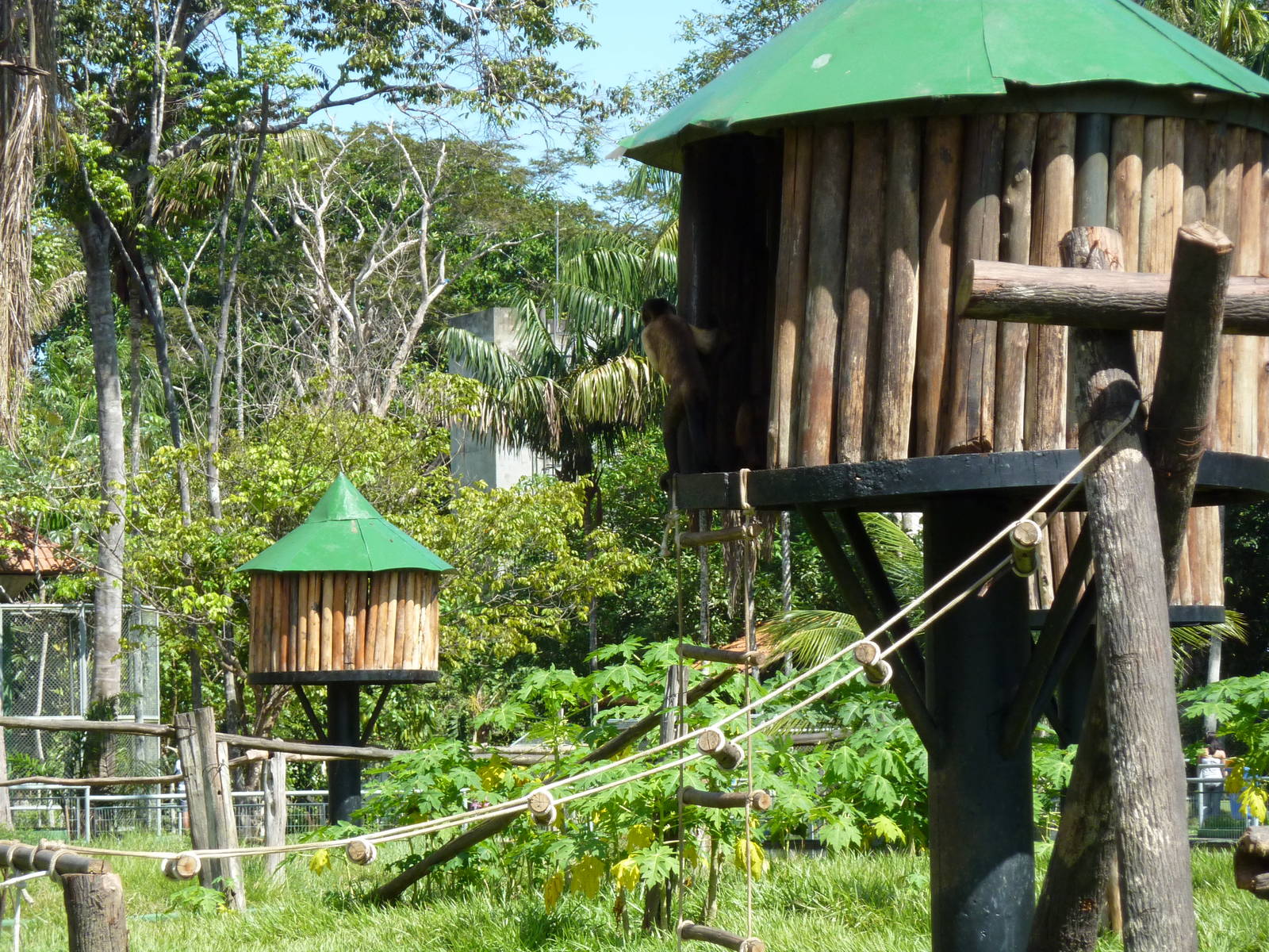Checking on the neighbours