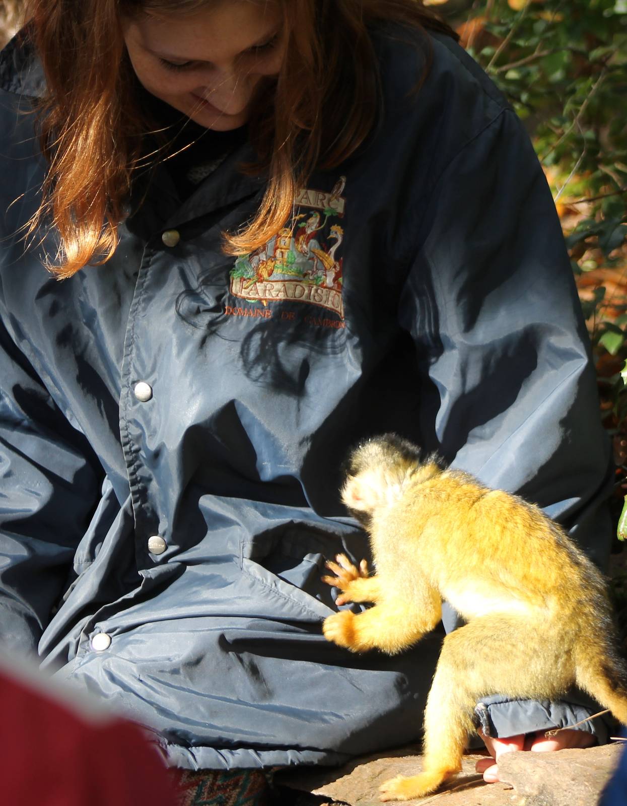 Checking the pockets