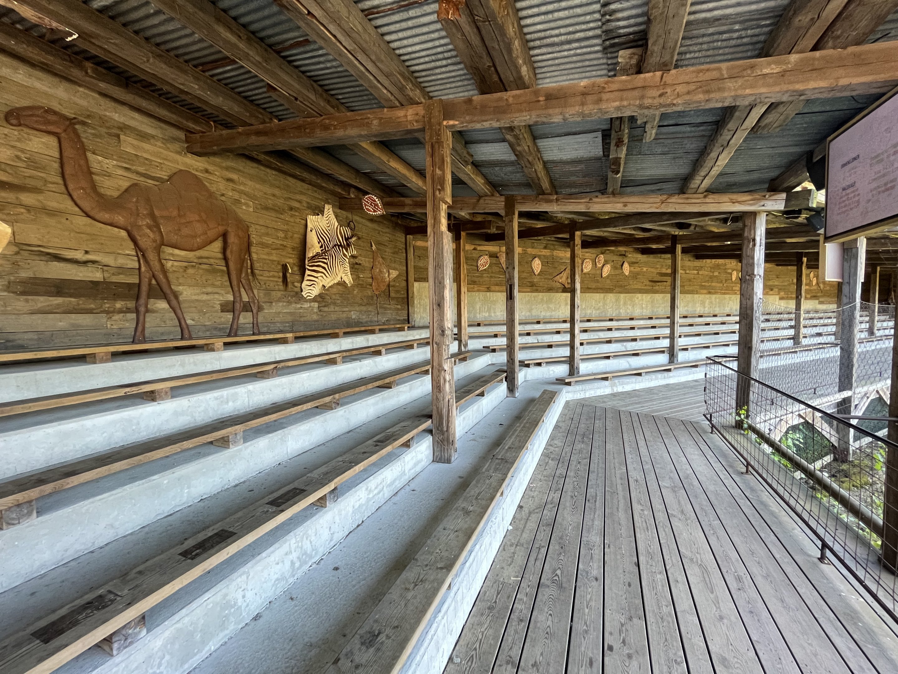 Cheetah Amphitheatre