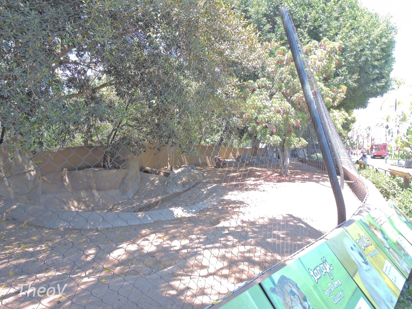 Cheetah and dog exhibit - Urban Jungle [2015]