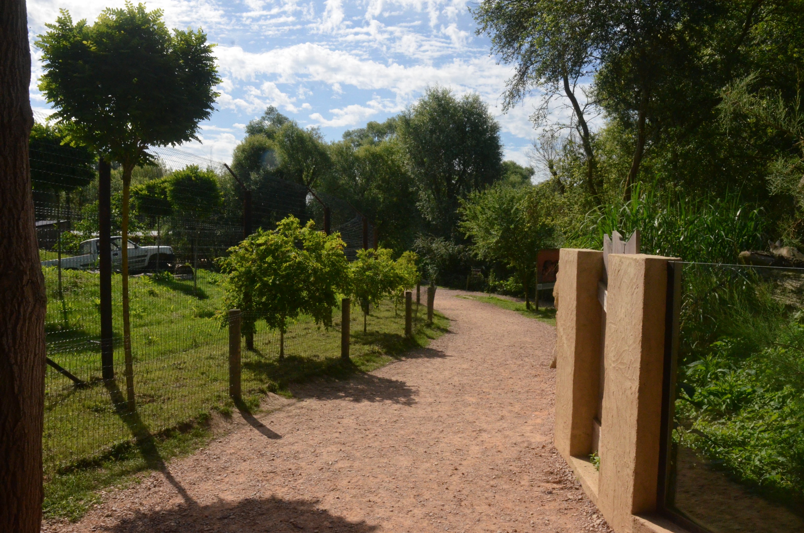 Cheetah and Fennec Fox Viewing at Biotropica, 16/06/18