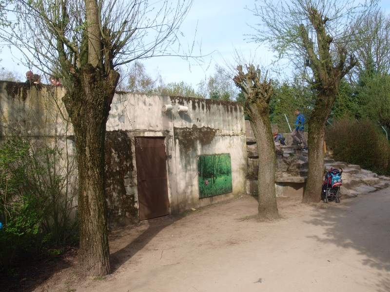 Cheetah and mountain lion building (April 19th, 2015)