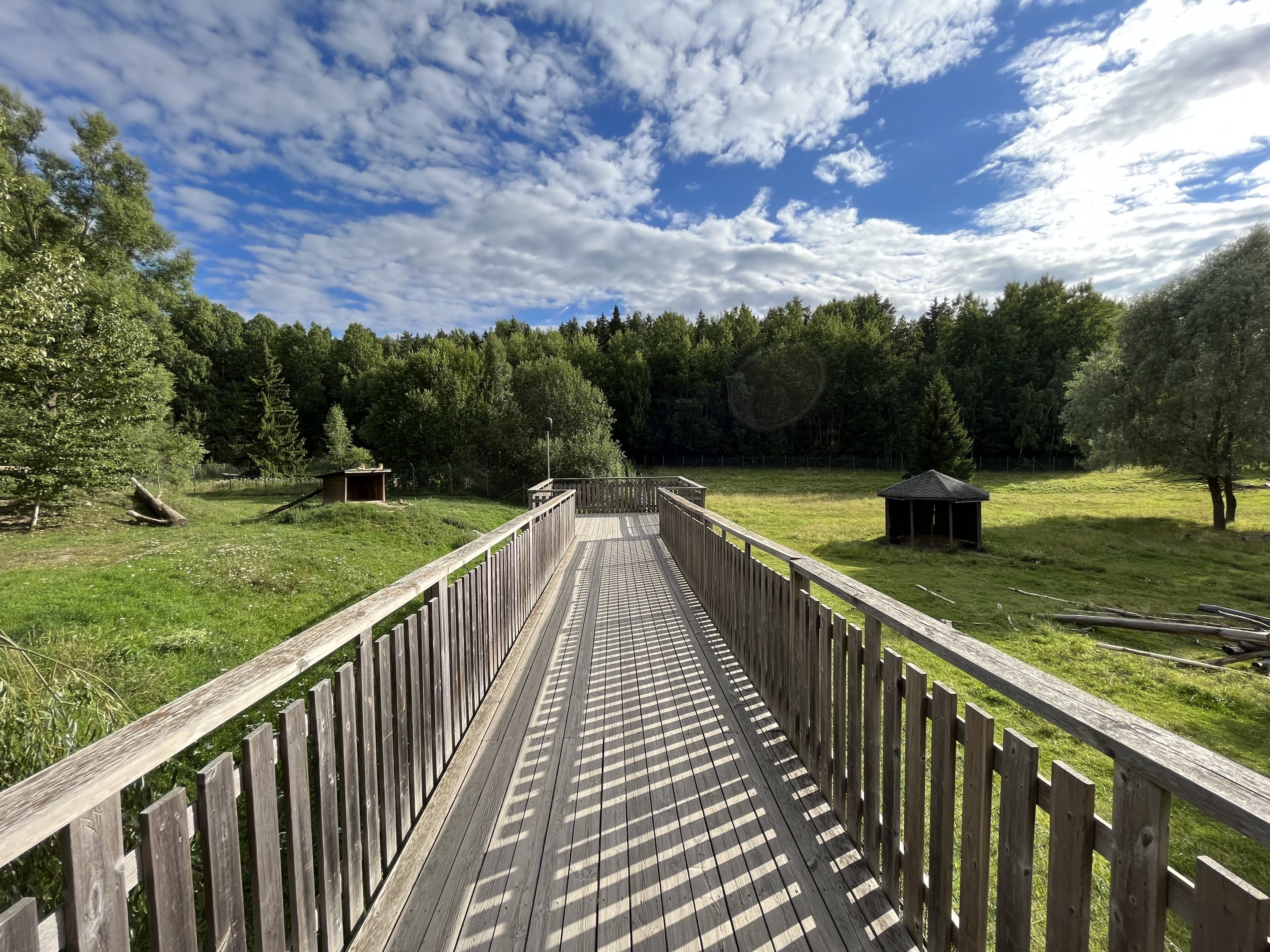 Cheetah + Bactrian Camel Exhibits