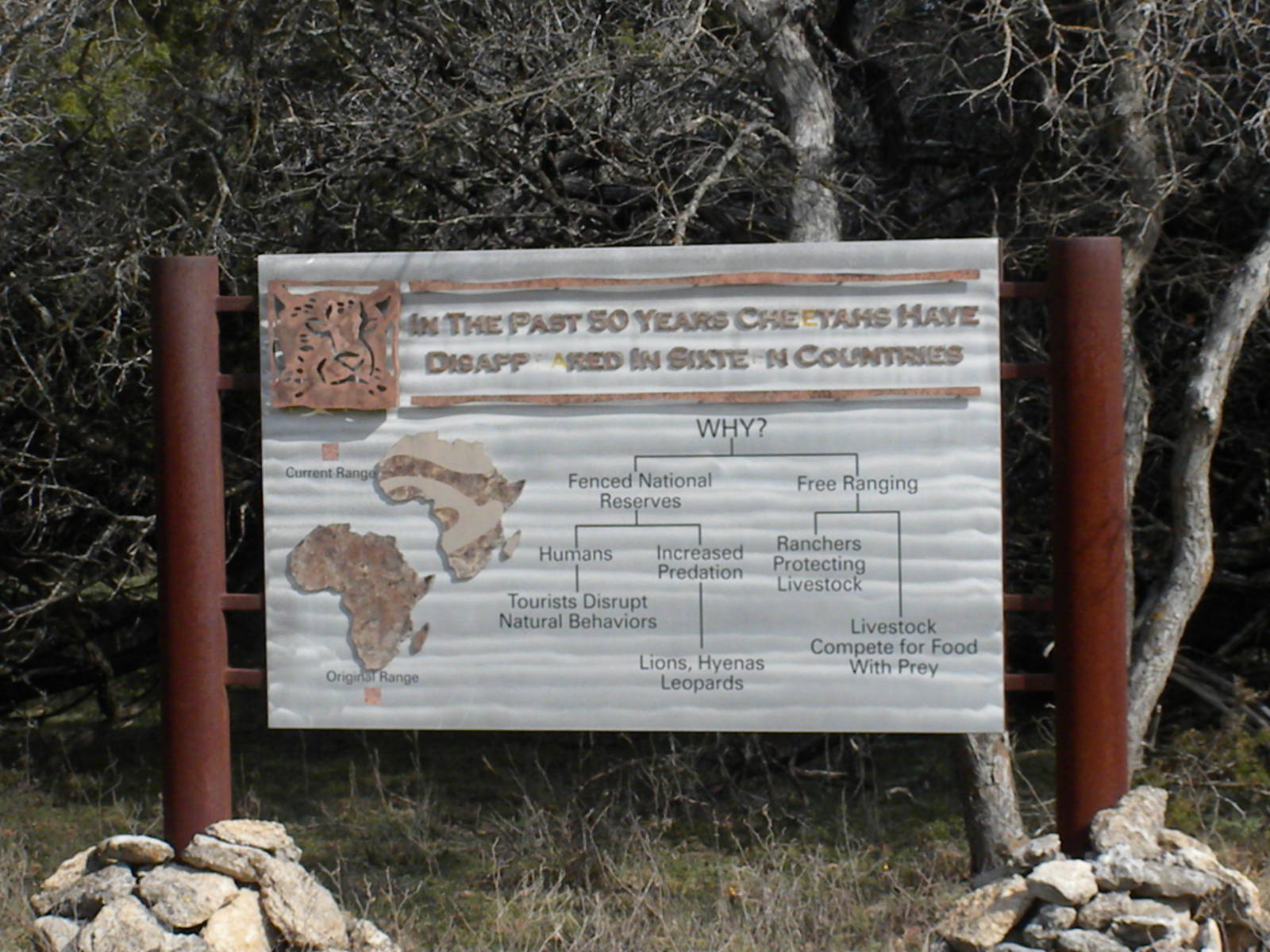 Cheetah Breeding Center