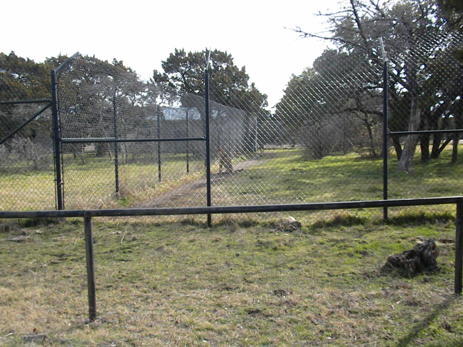 Cheetah Breeding Center
