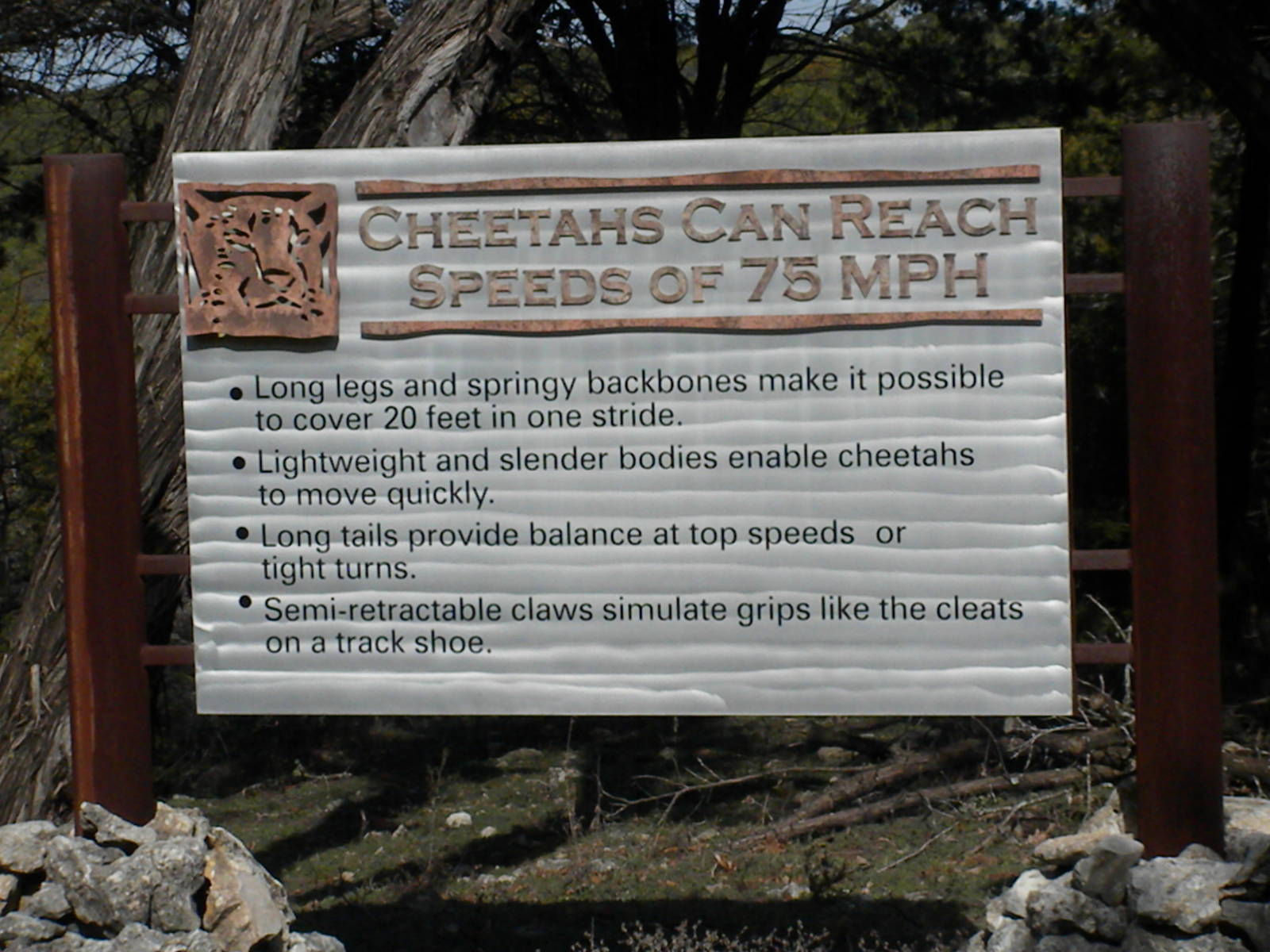 Cheetah Breeding Center