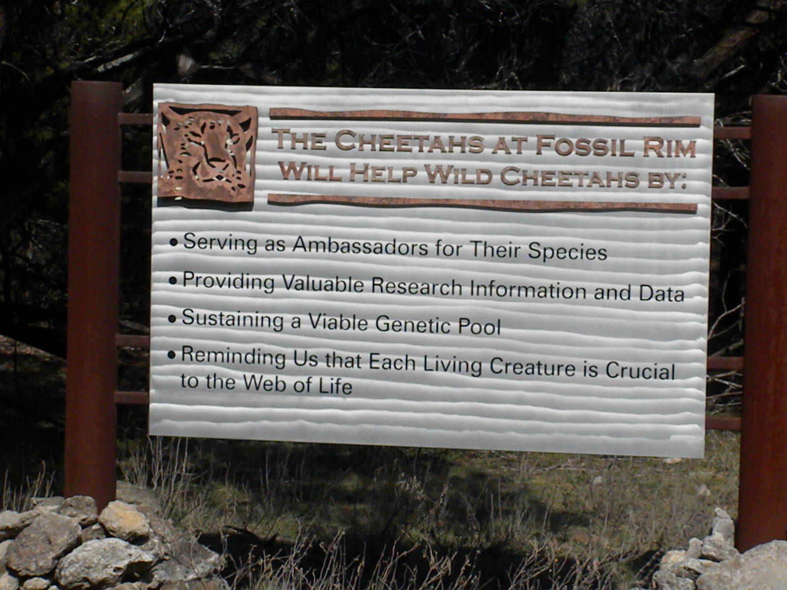 Cheetah Breeding Center