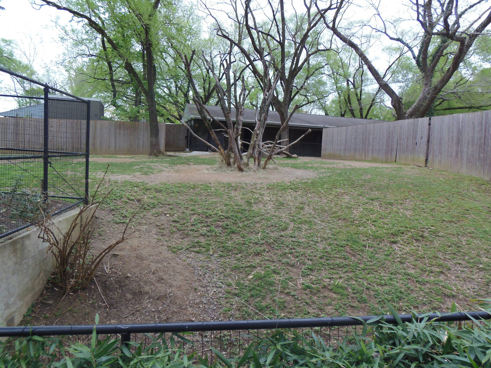 Cheetah Conservation Center- Oryx/Gazelle/Vulture Exhibit