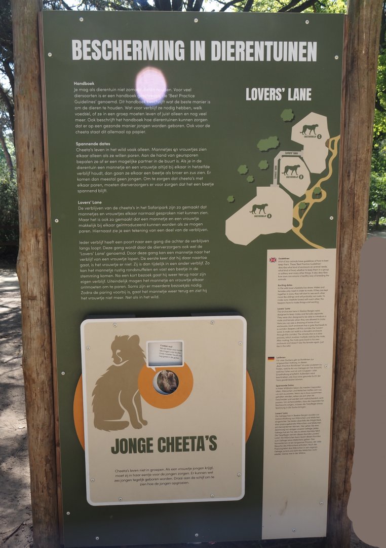 Cheetah conservation in zoos signage, 2025-04-30