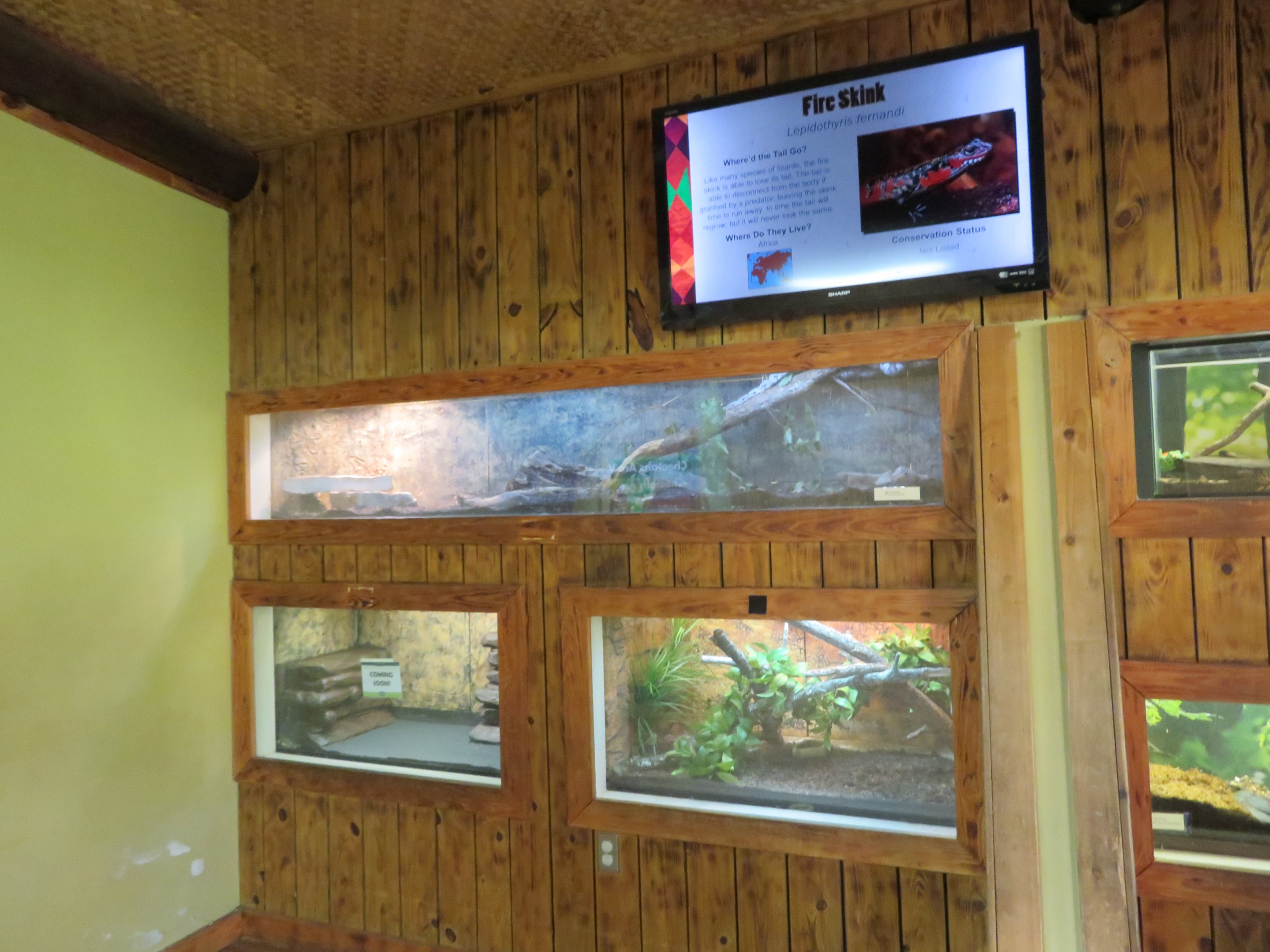 Cheetah Conservation Outpost - Herp Tanks