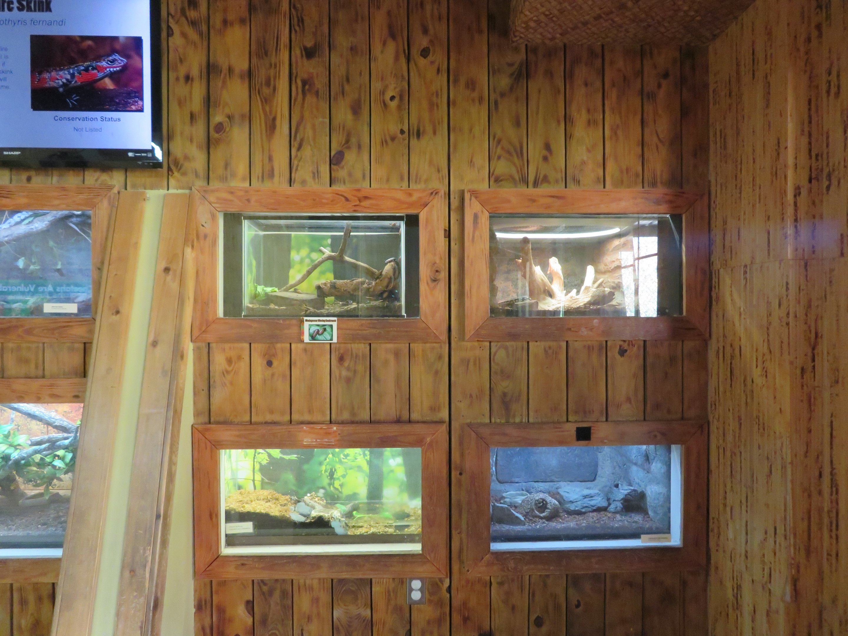 Cheetah Conservation Outpost - Herp Tanks