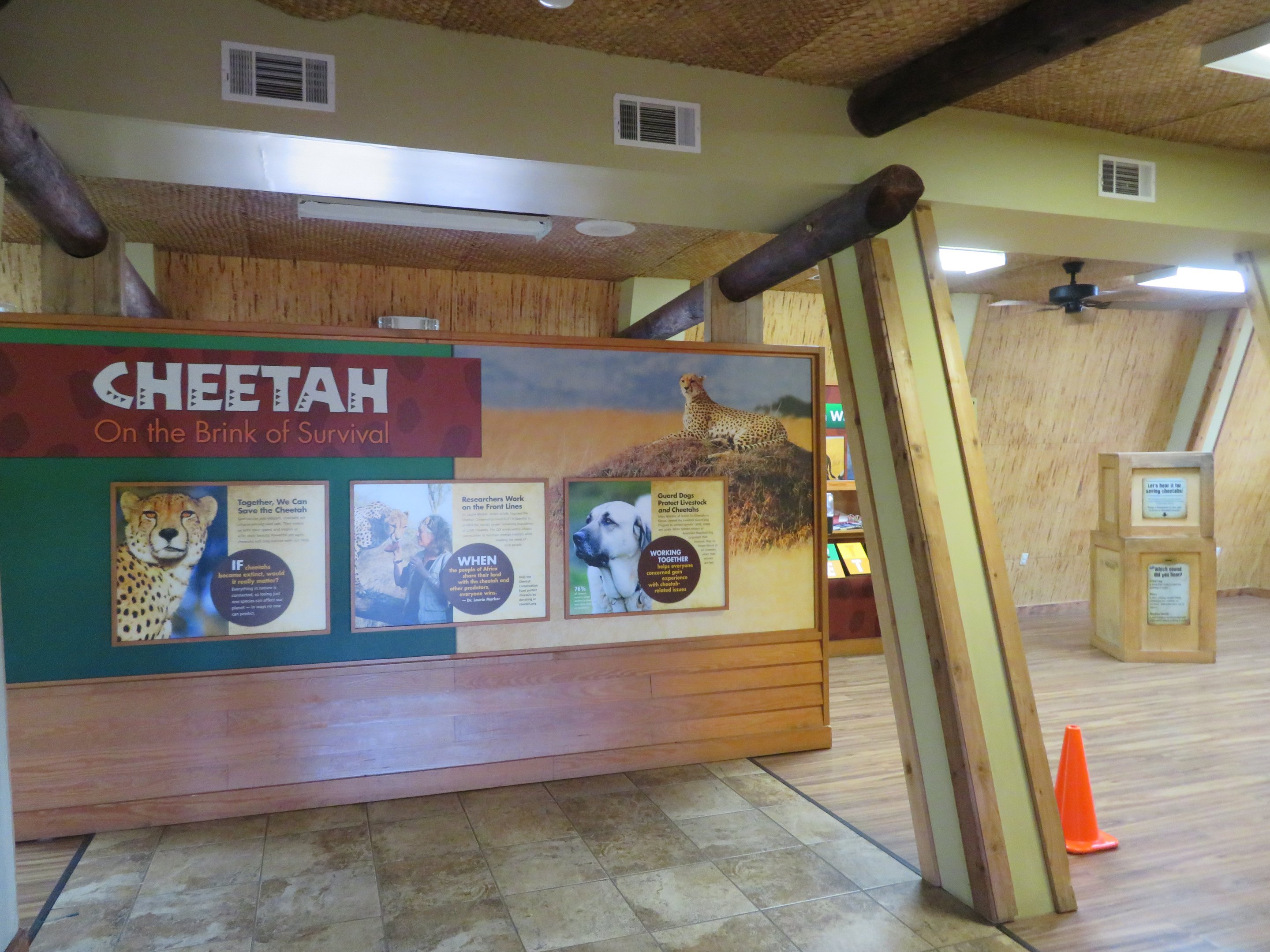 Cheetah Conservation Outpost