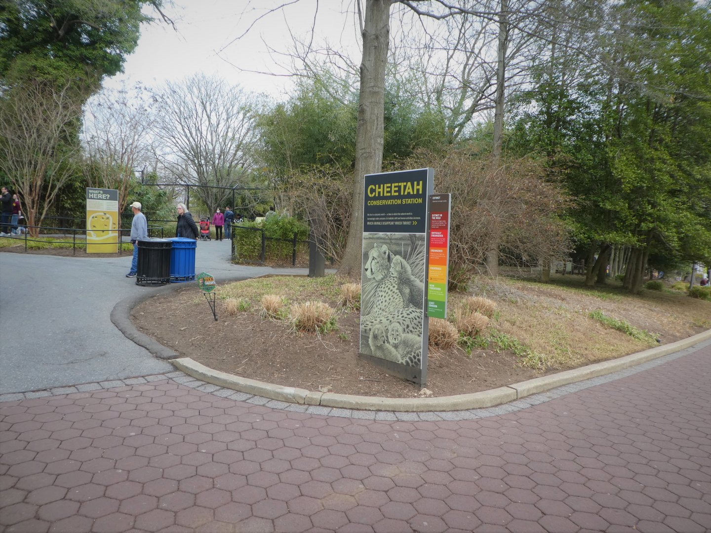 Cheetah Conservation Station - Entrance