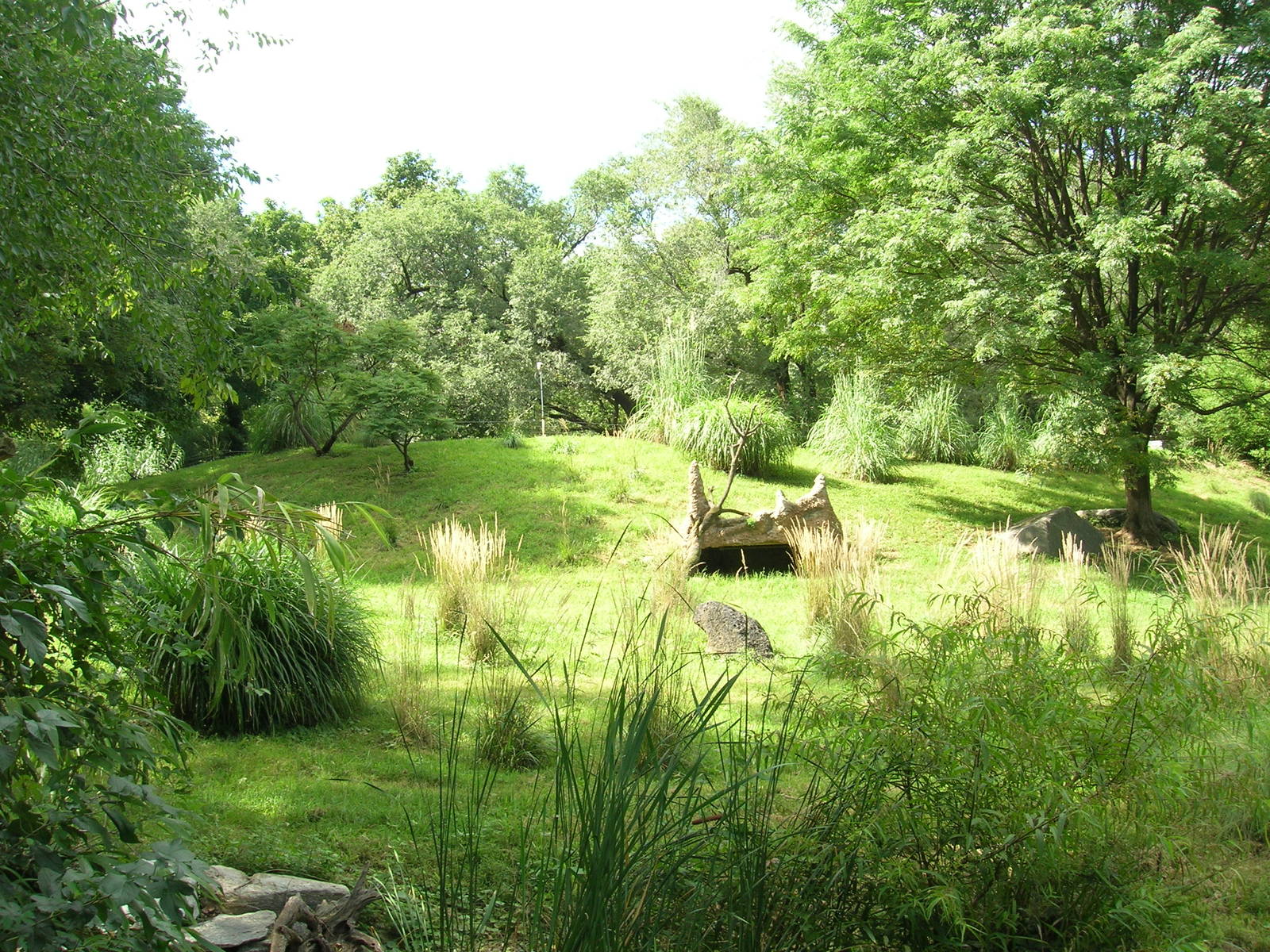 Cheetah Conservation Station