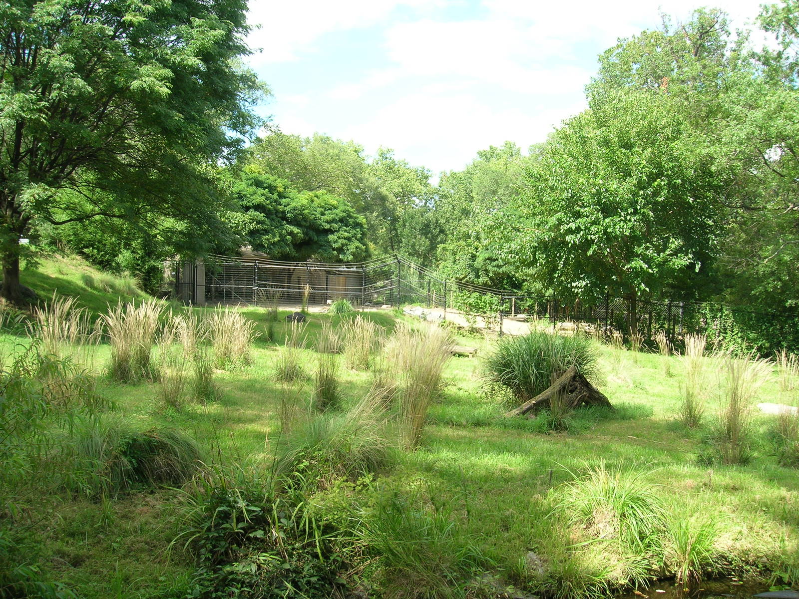 Cheetah Conservation Station