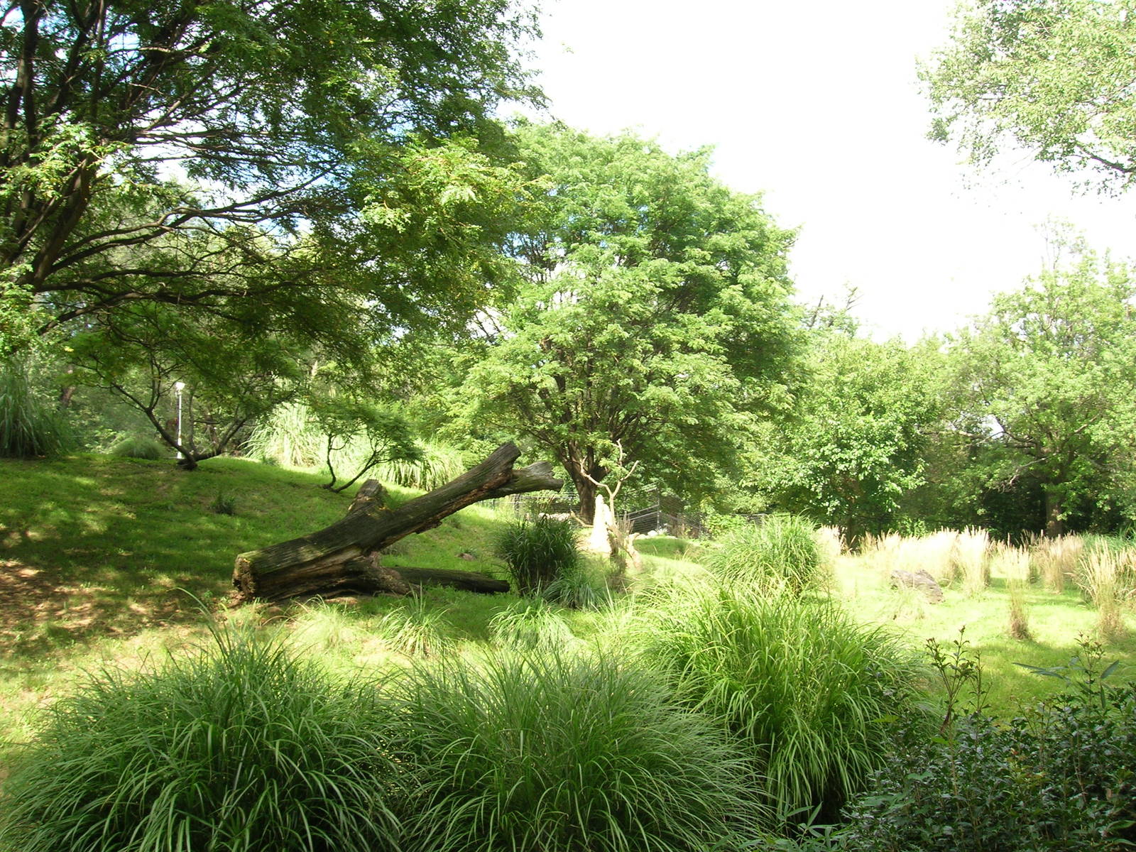 Cheetah Conservation Station