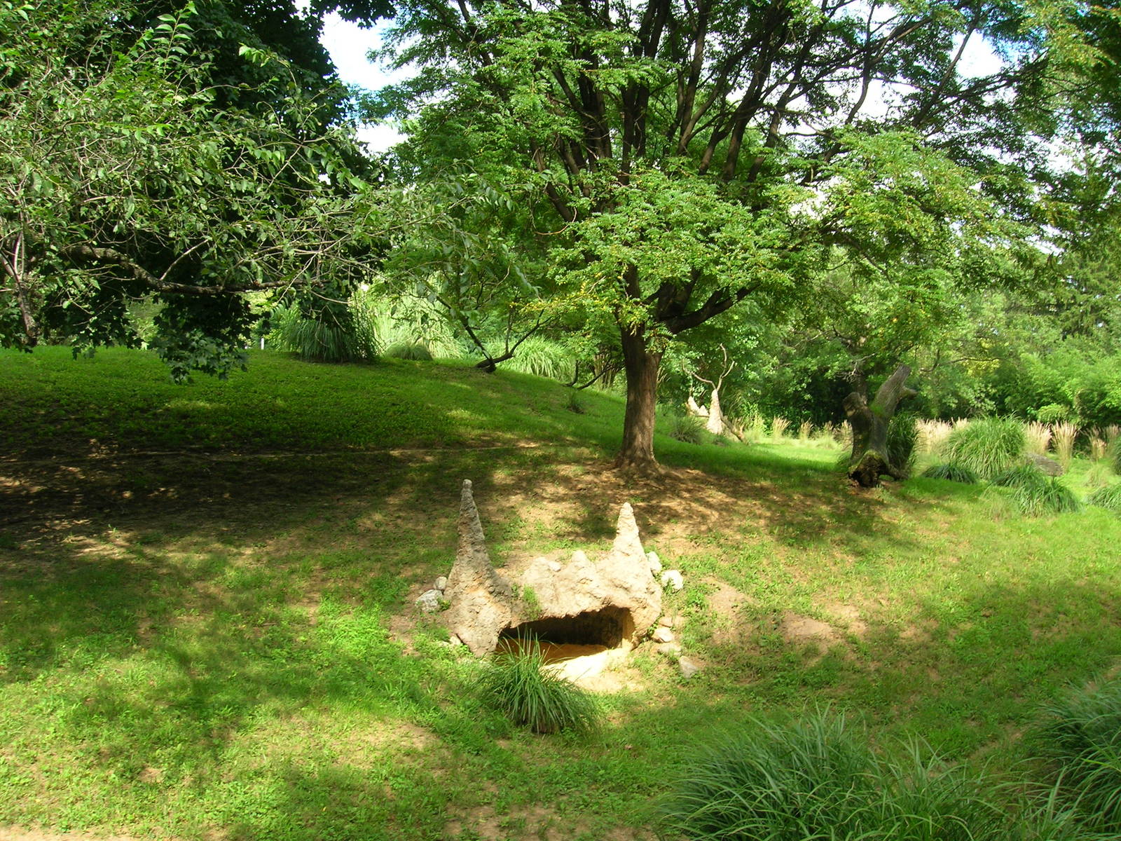 Cheetah Conservation Station