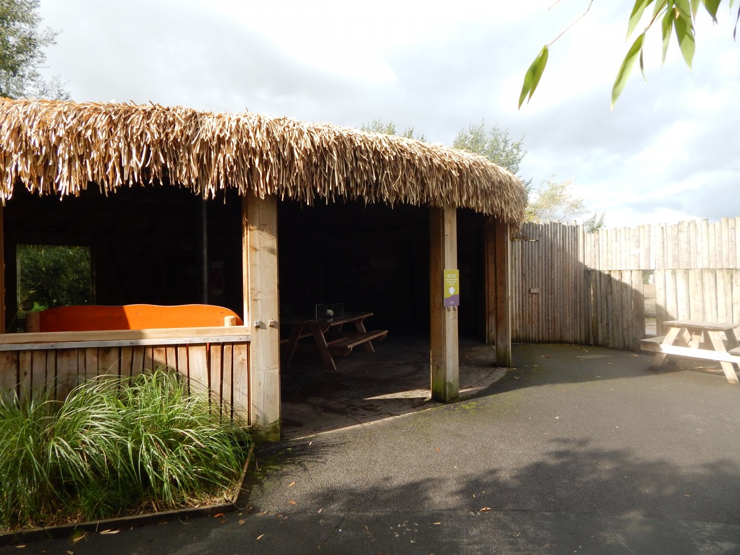 Cheetah covered viewing area 071020