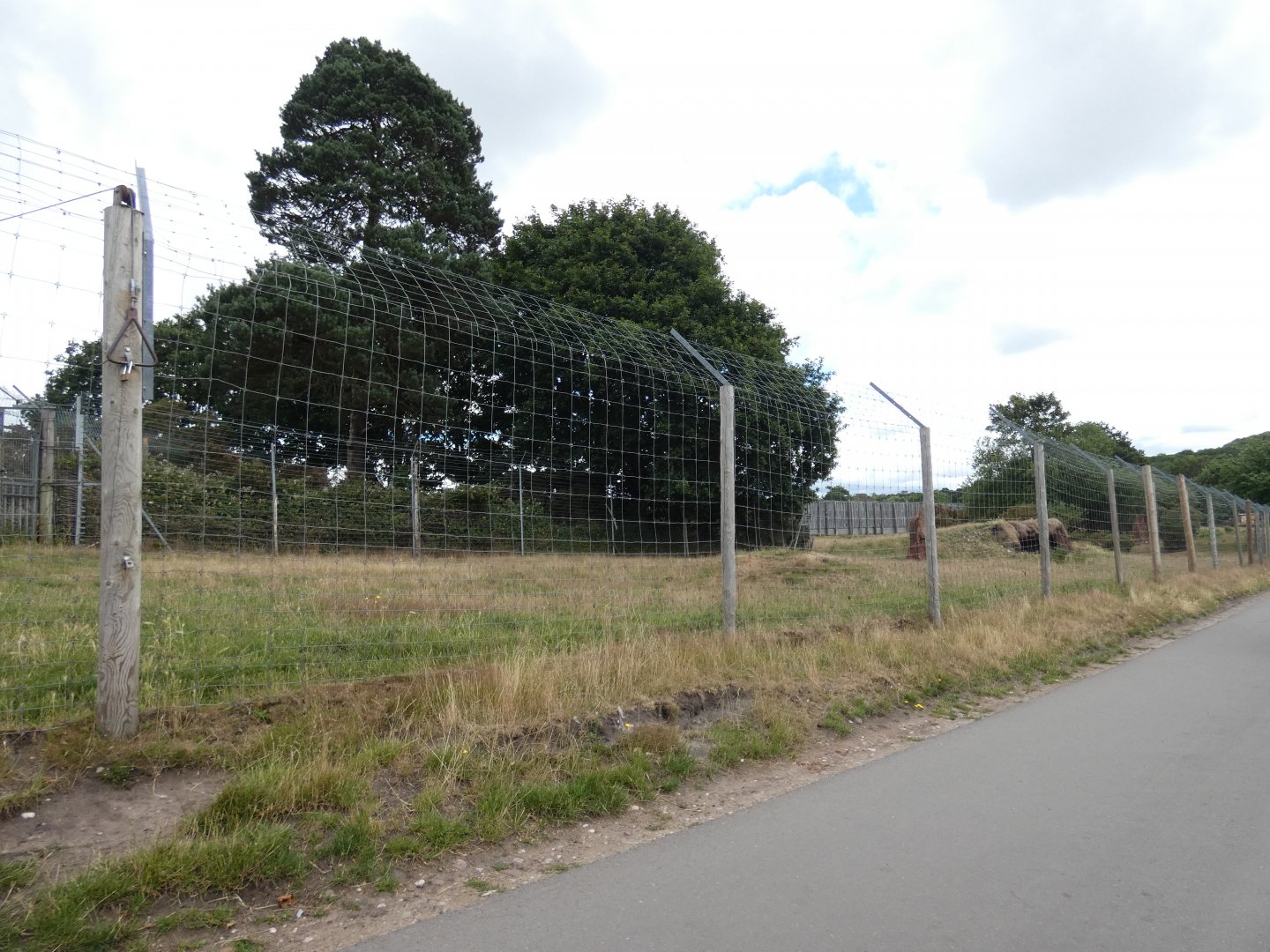 Cheetah drive-by enclosure