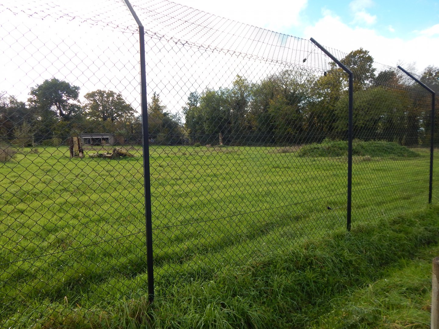 Cheetah enclosure 051123