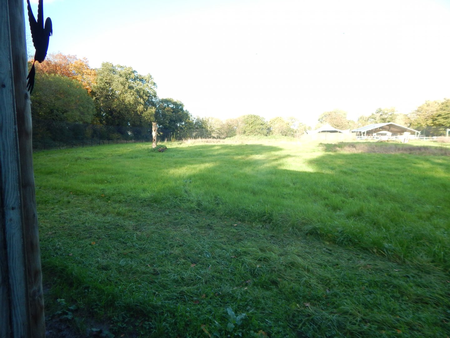 Cheetah enclosure 051123