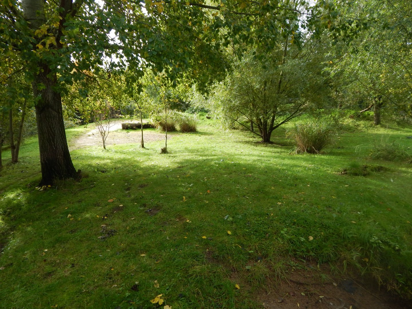 Cheetah enclosure 071020