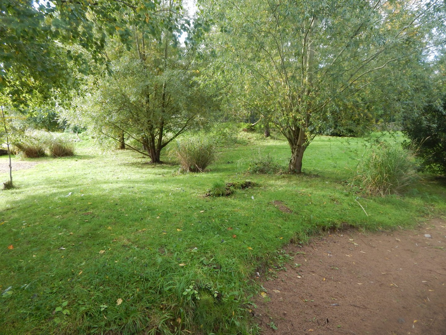 Cheetah enclosure 071020