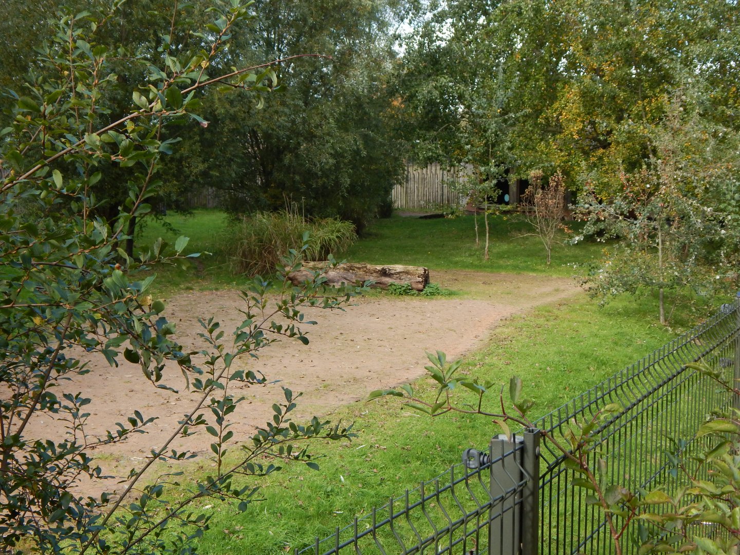 Cheetah enclosure 081020
