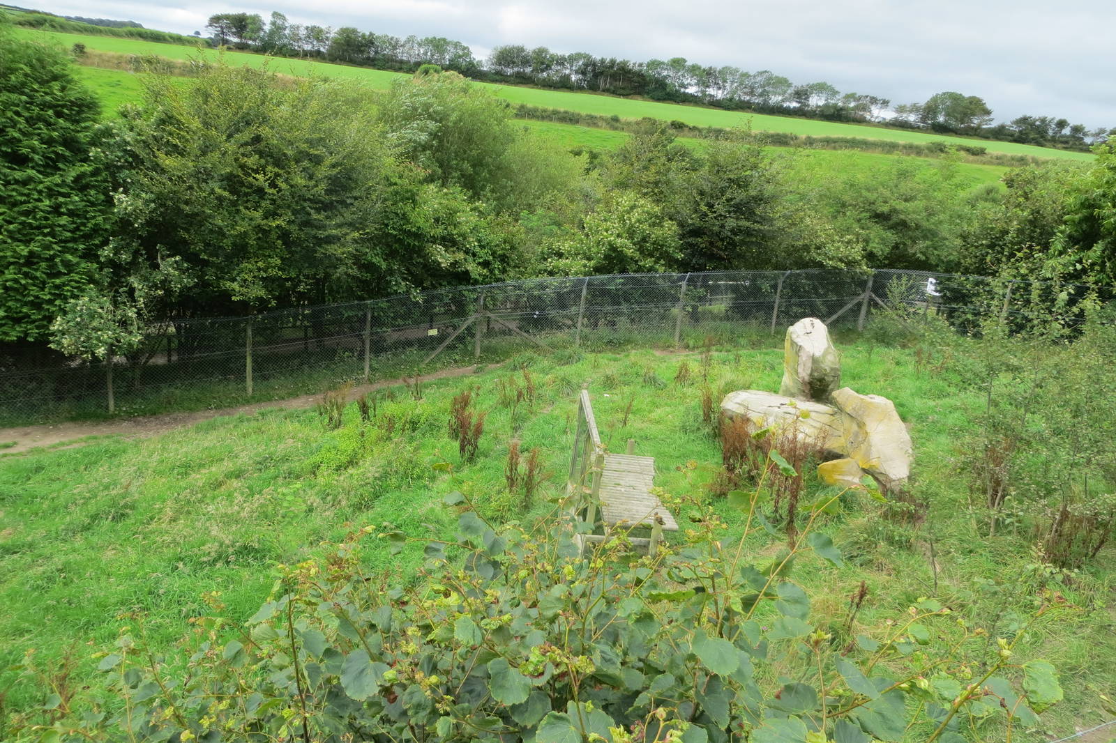 Cheetah enclosure 090815