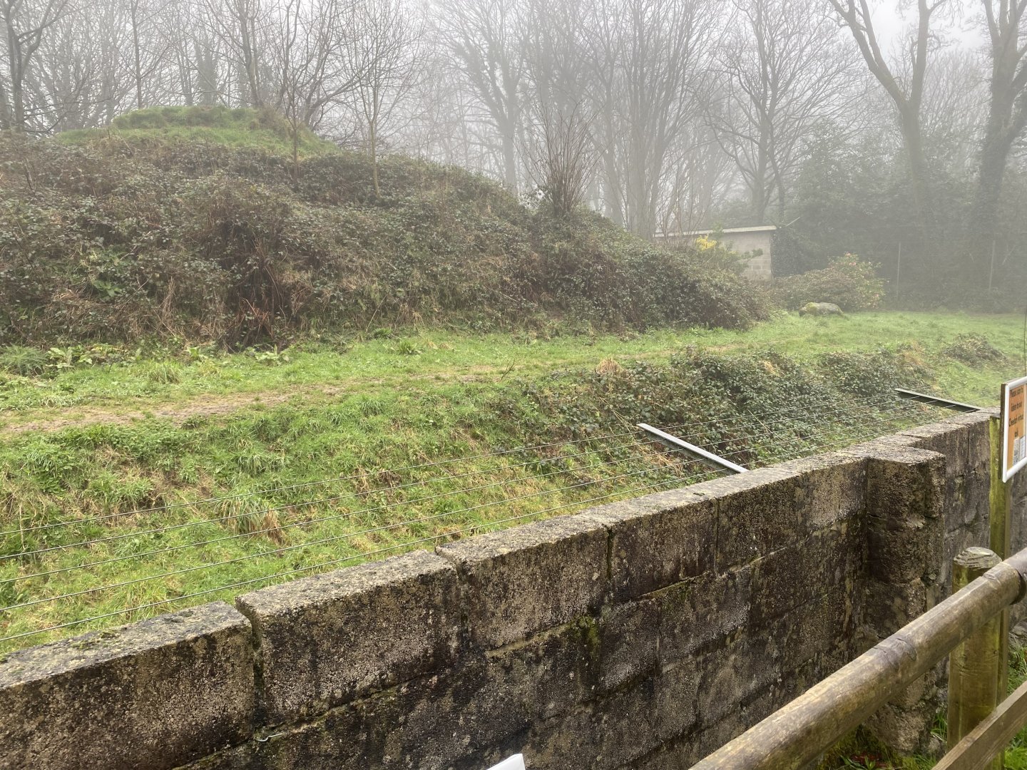 Cheetah enclosure 140224