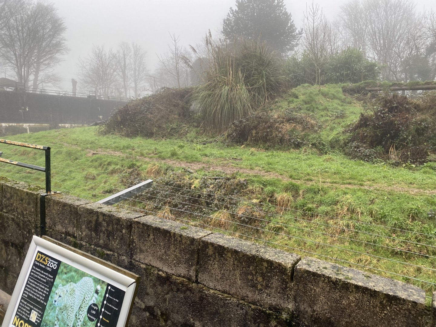 Cheetah enclosure 140224