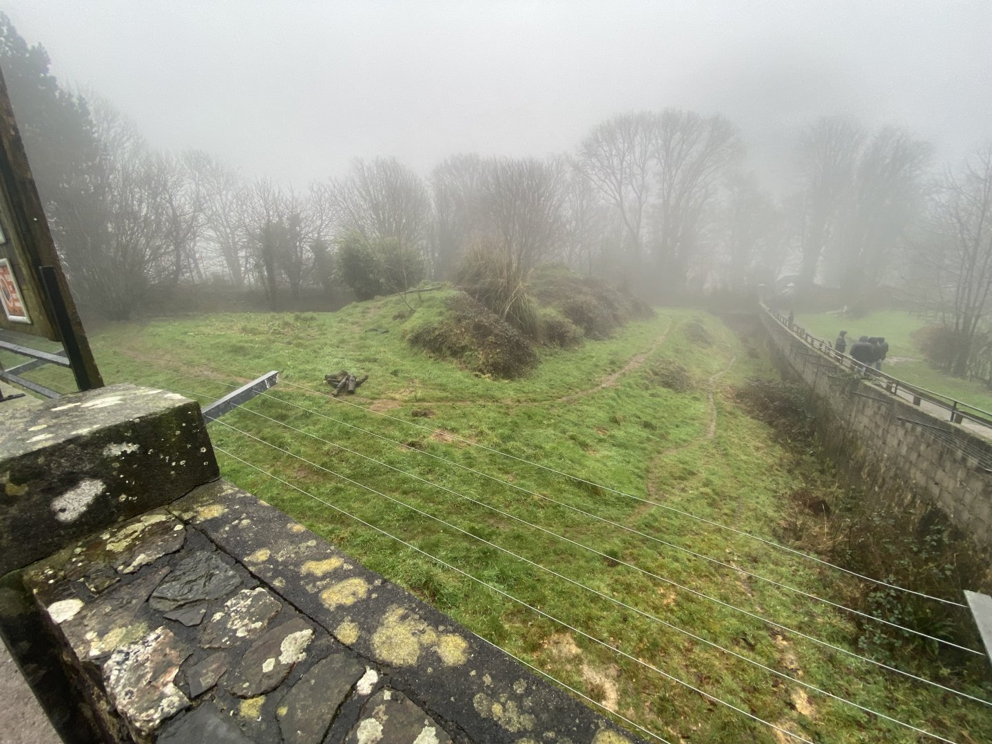 Cheetah enclosure 140224