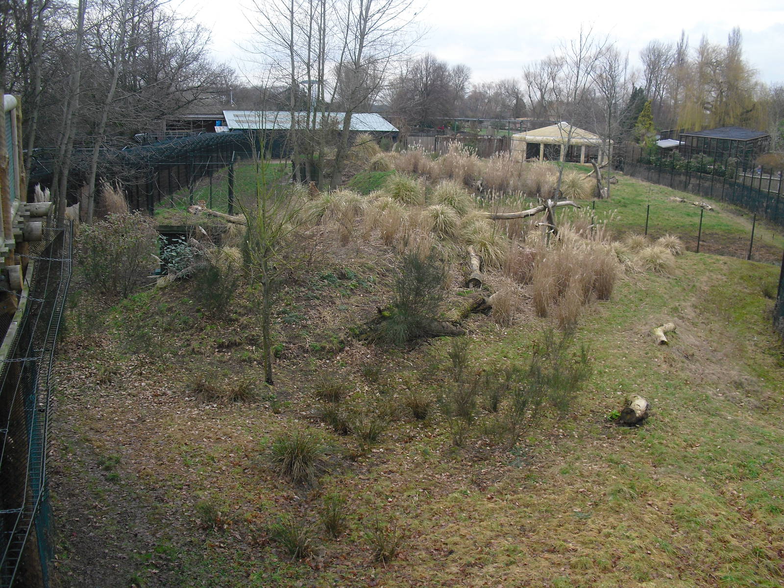 Cheetah Enclosure - 16/02/2011