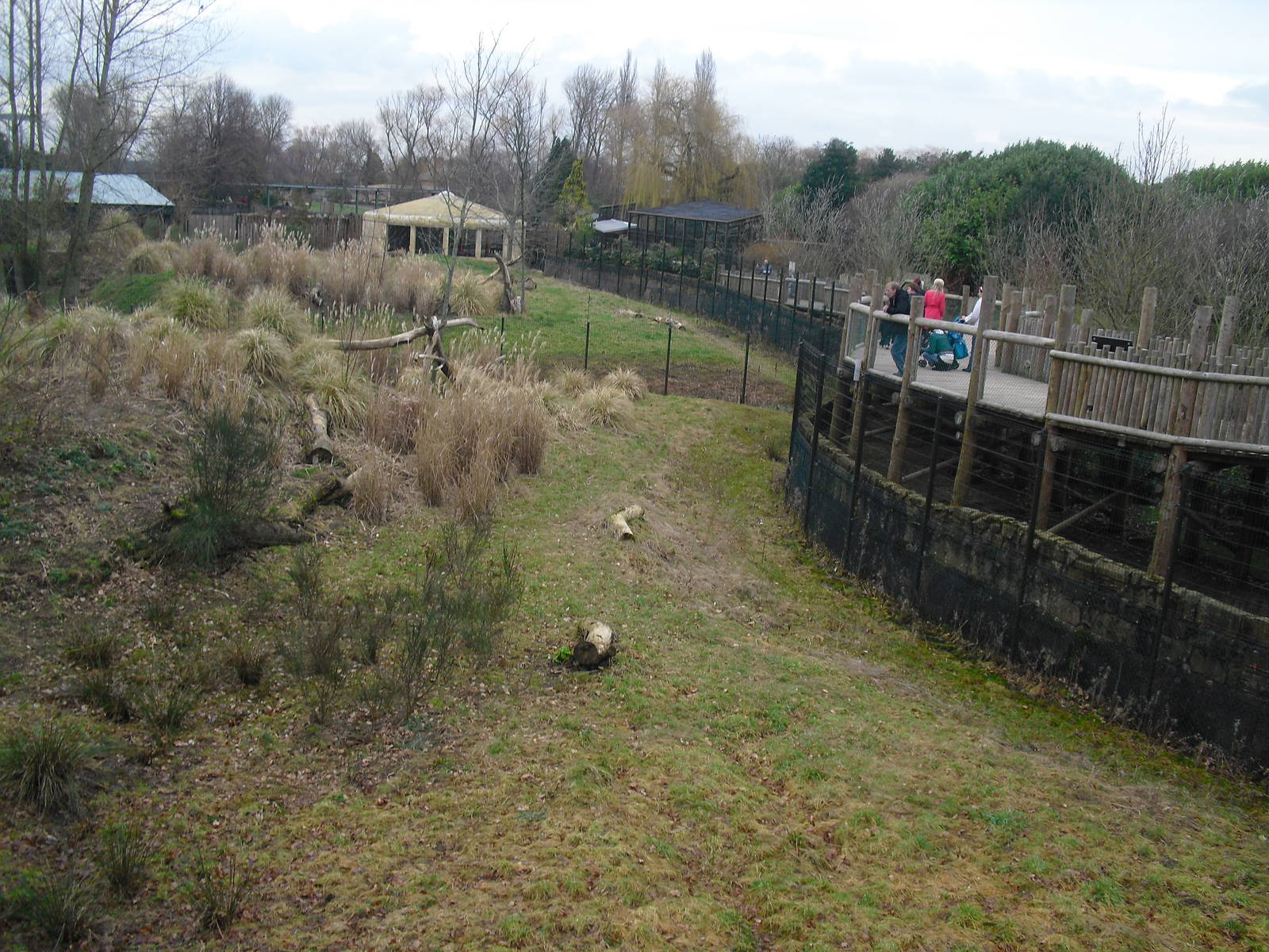 Cheetah Enclosure - 16/02/2011