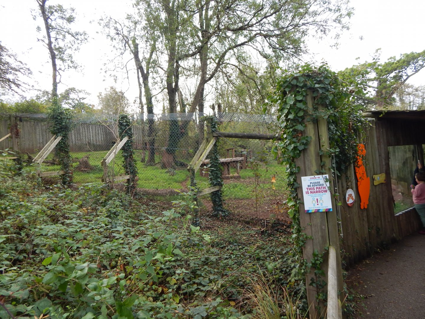 Cheetah enclosure 181020