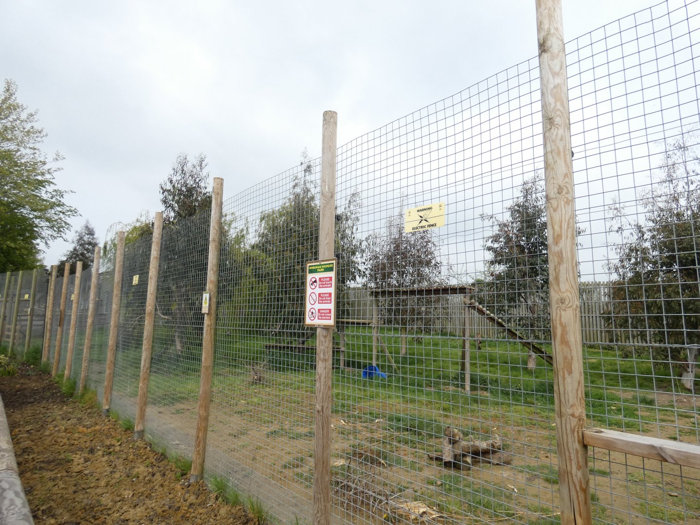 Cheetah enclosure (2)