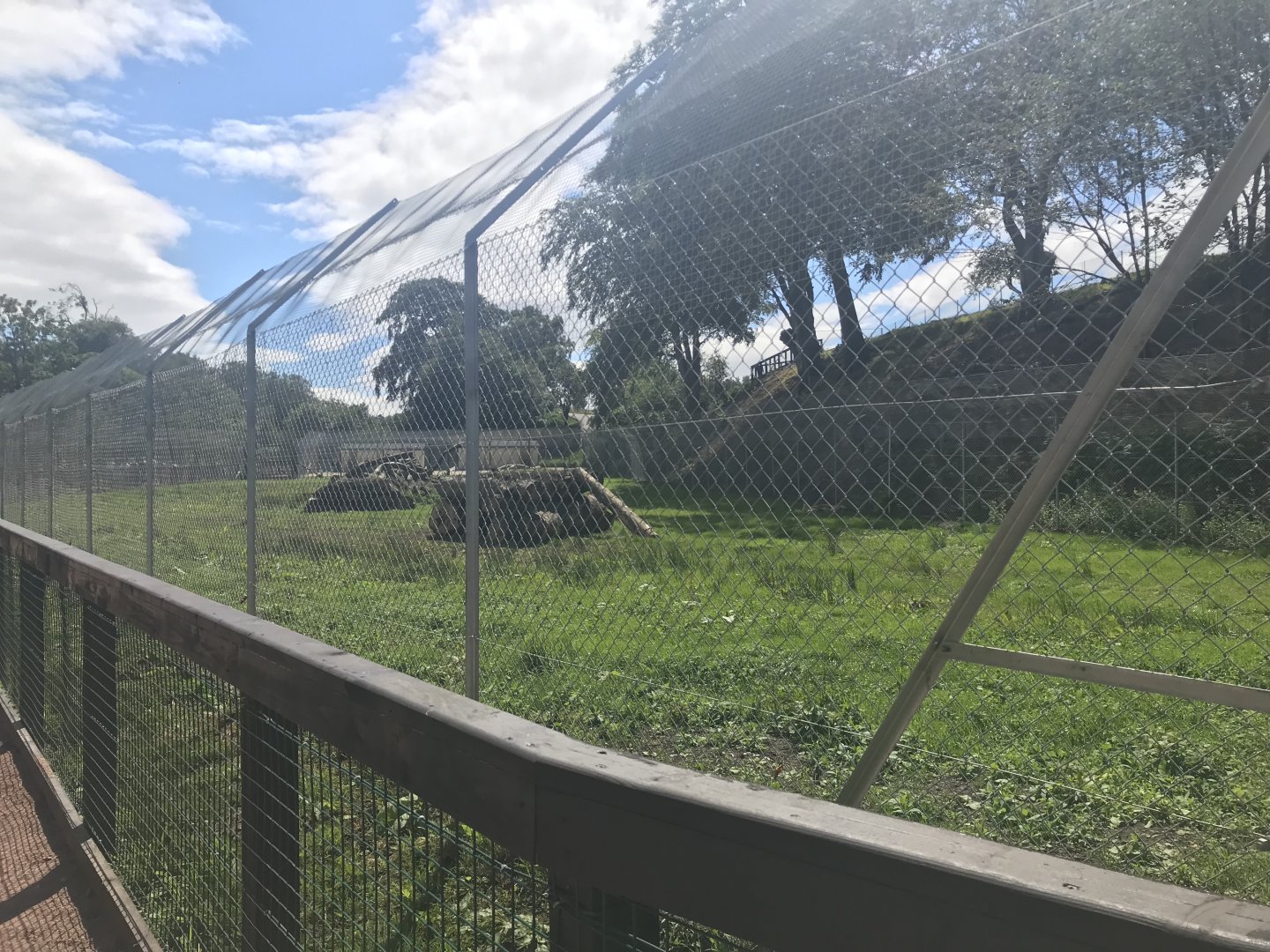 Cheetah enclosure (2)