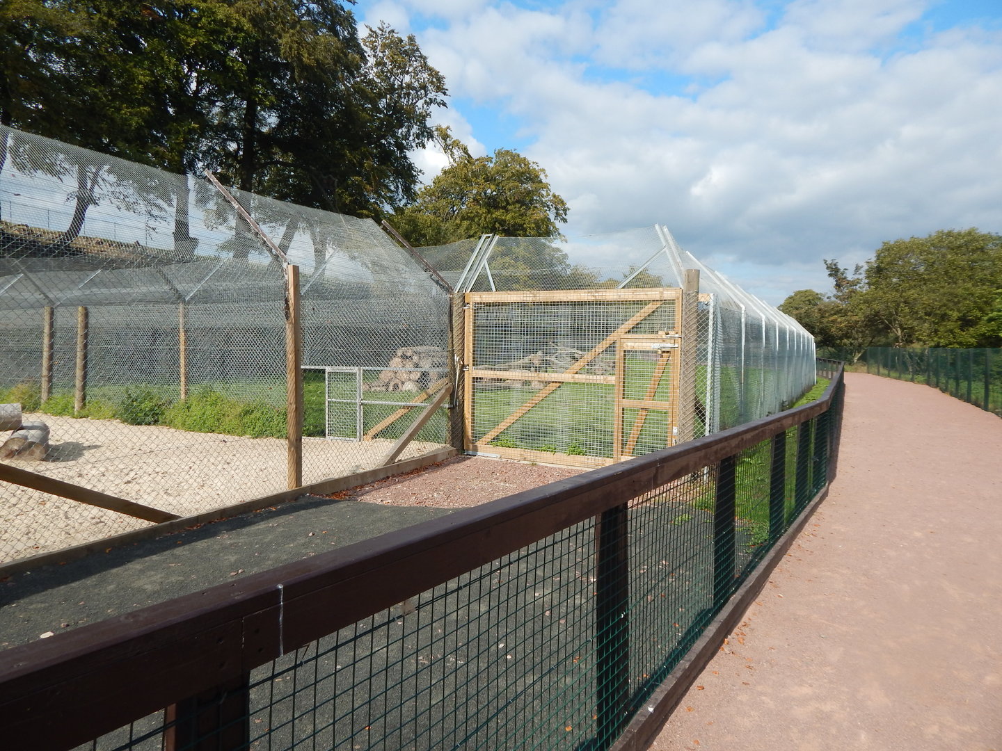Cheetah enclosure 200922