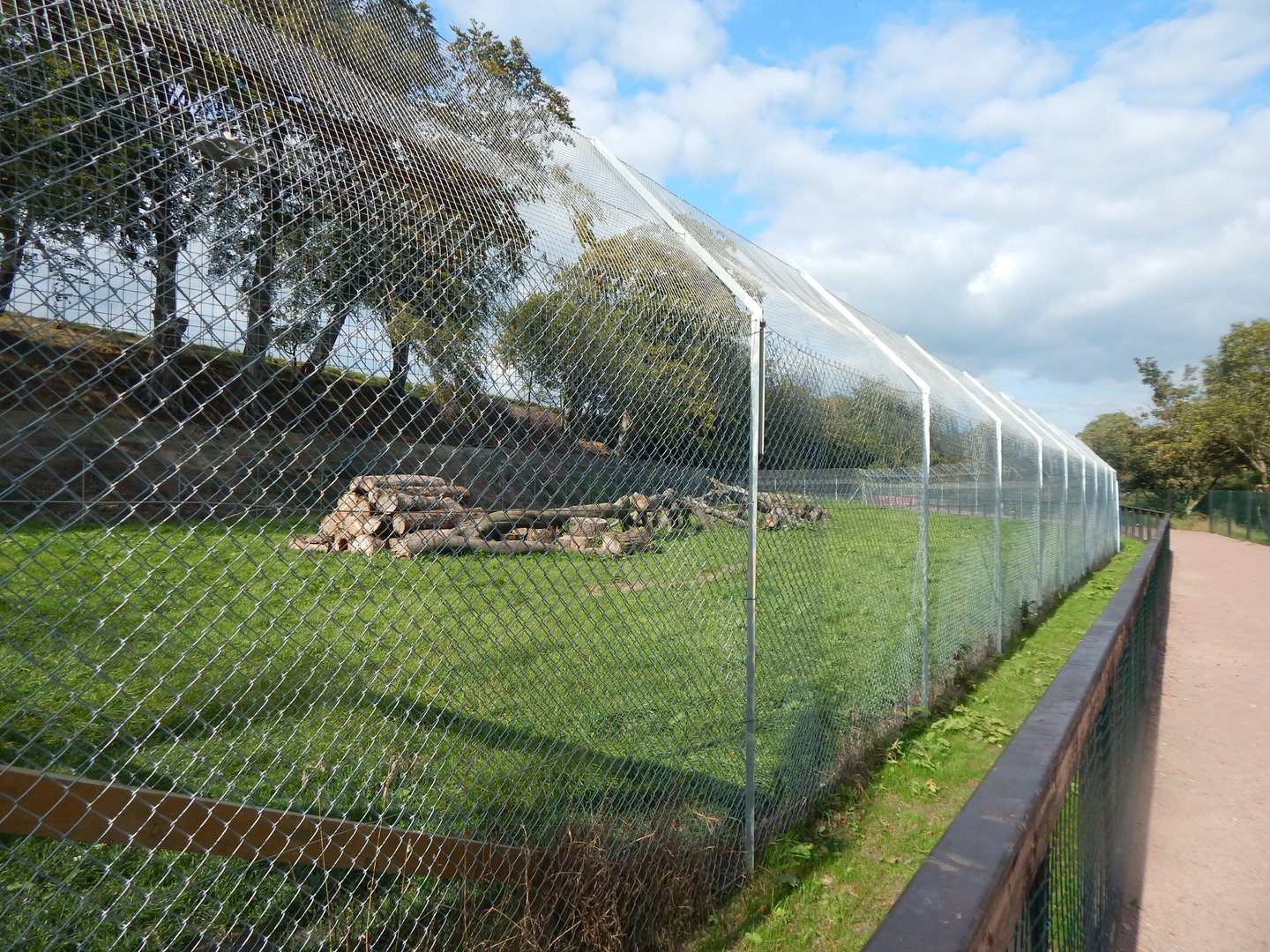 Cheetah enclosure 200922