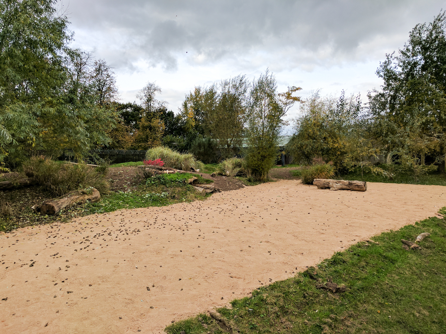 Cheetah Enclosure - 27/10/2016