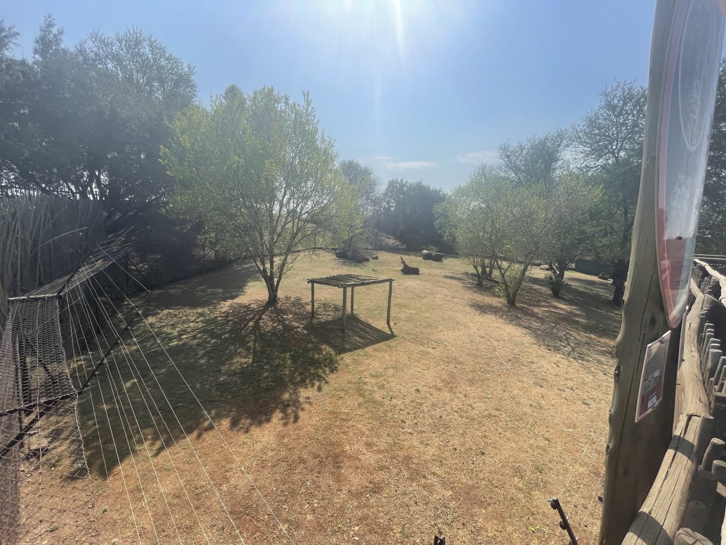 Cheetah Enclosure (Acinonyx jubatus)