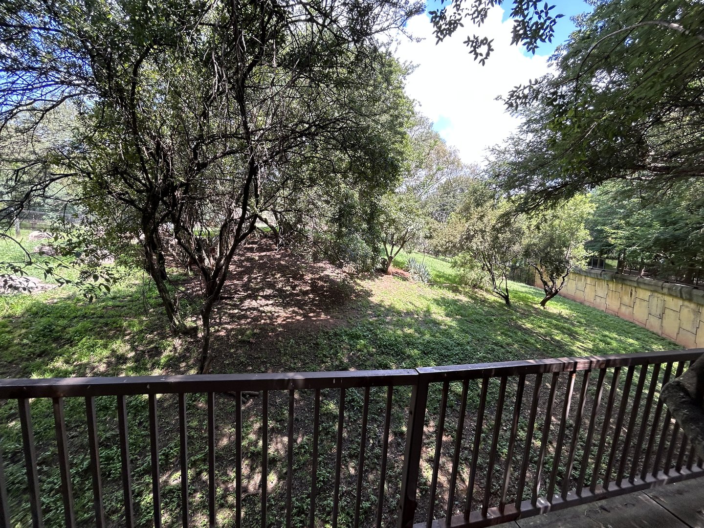 Cheetah Enclosure (Acinonyx jubatus)