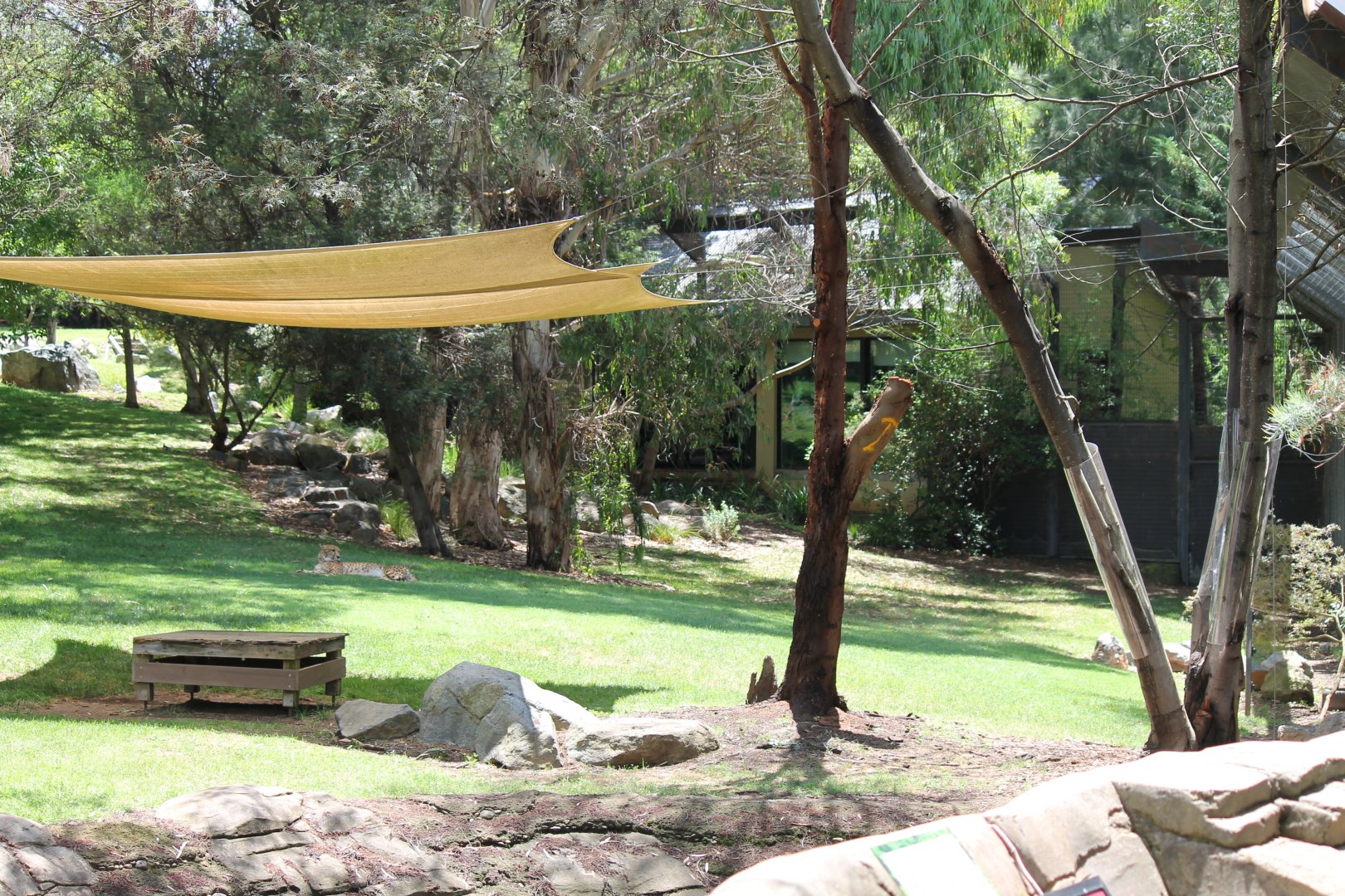 Cheetah Enclosure and Jamala Bungalow