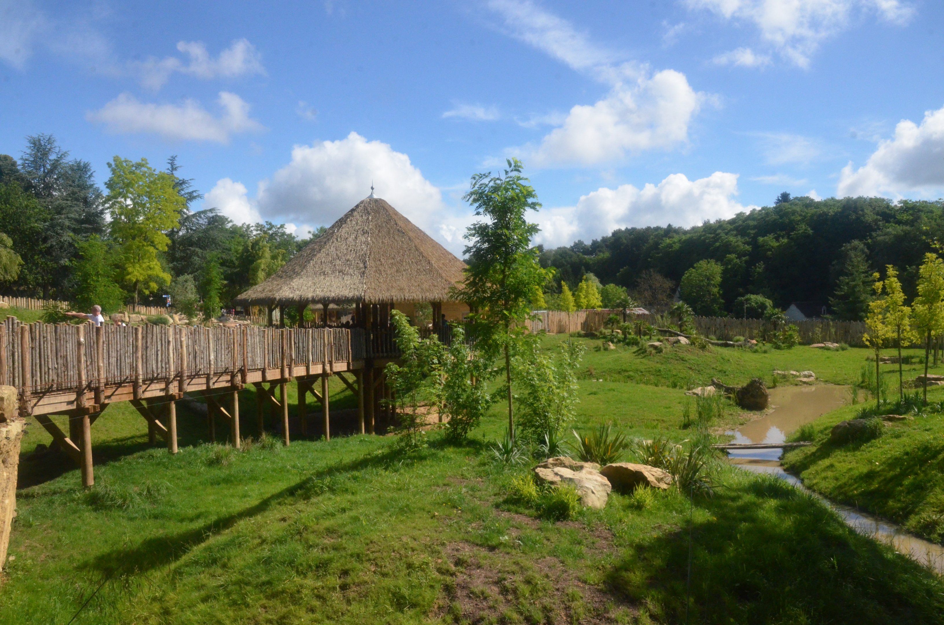 Cheetah Enclosure at Beauval, 12/06/18