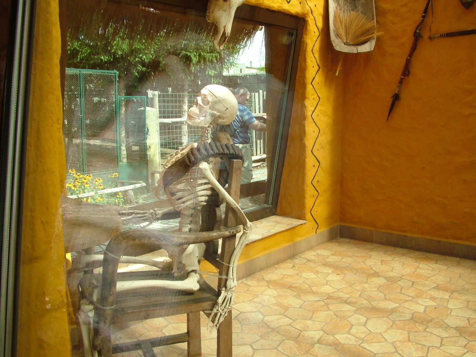 Cheetah Enclosure at Chleby, 26/08/12