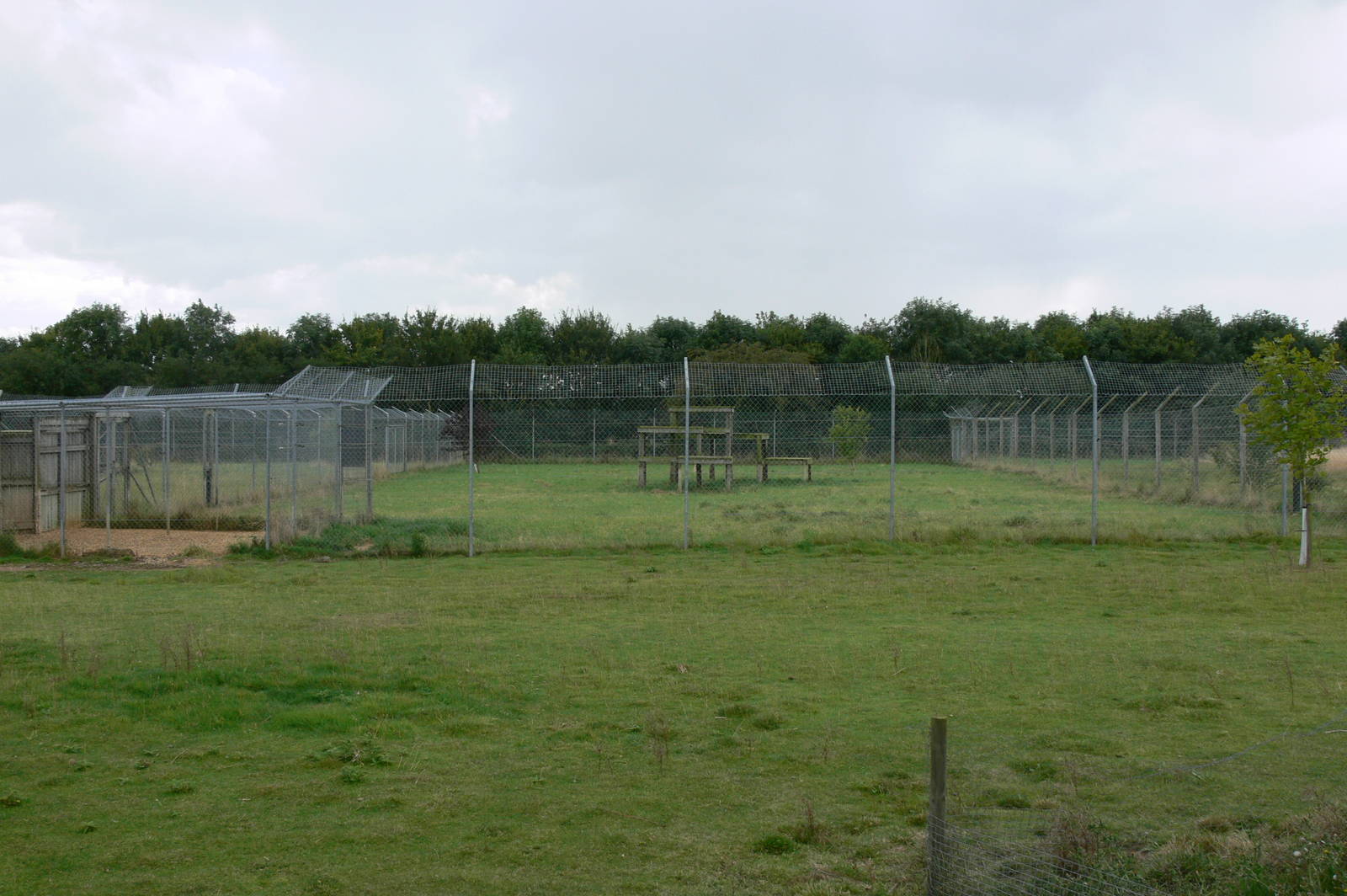 Cheetah Enclosure at Hamerton Zoo, 23/08/14