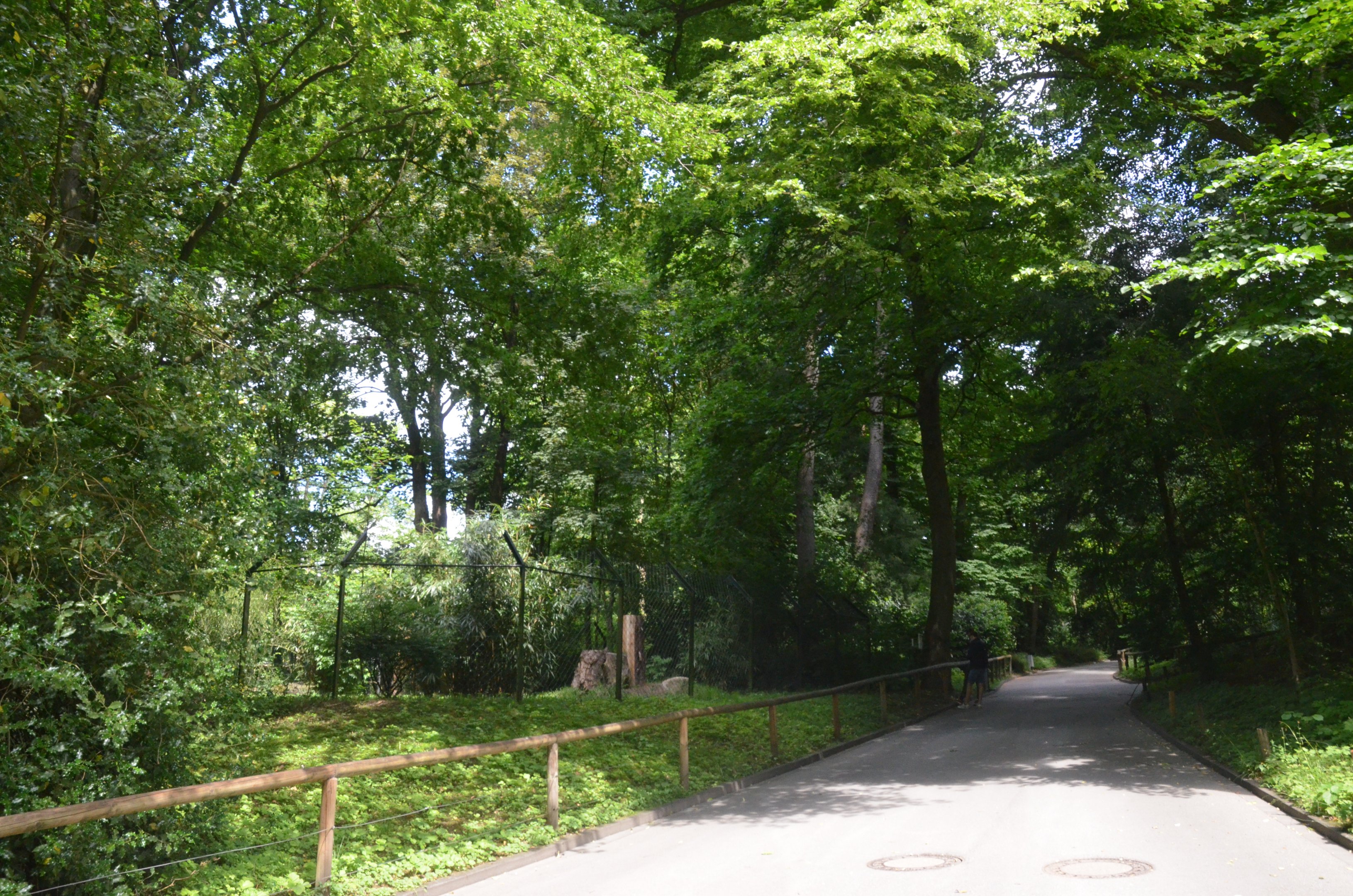Cheetah Enclosure at Wuppertal, 16/06/19