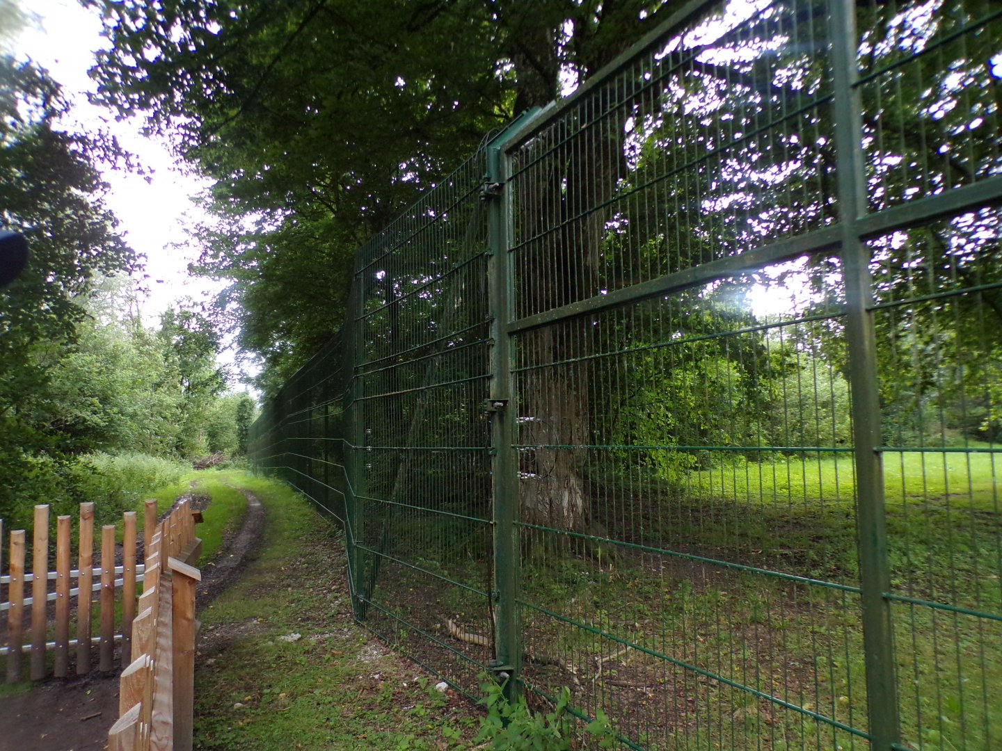Cheetah enclosure (big!) 13.7.25