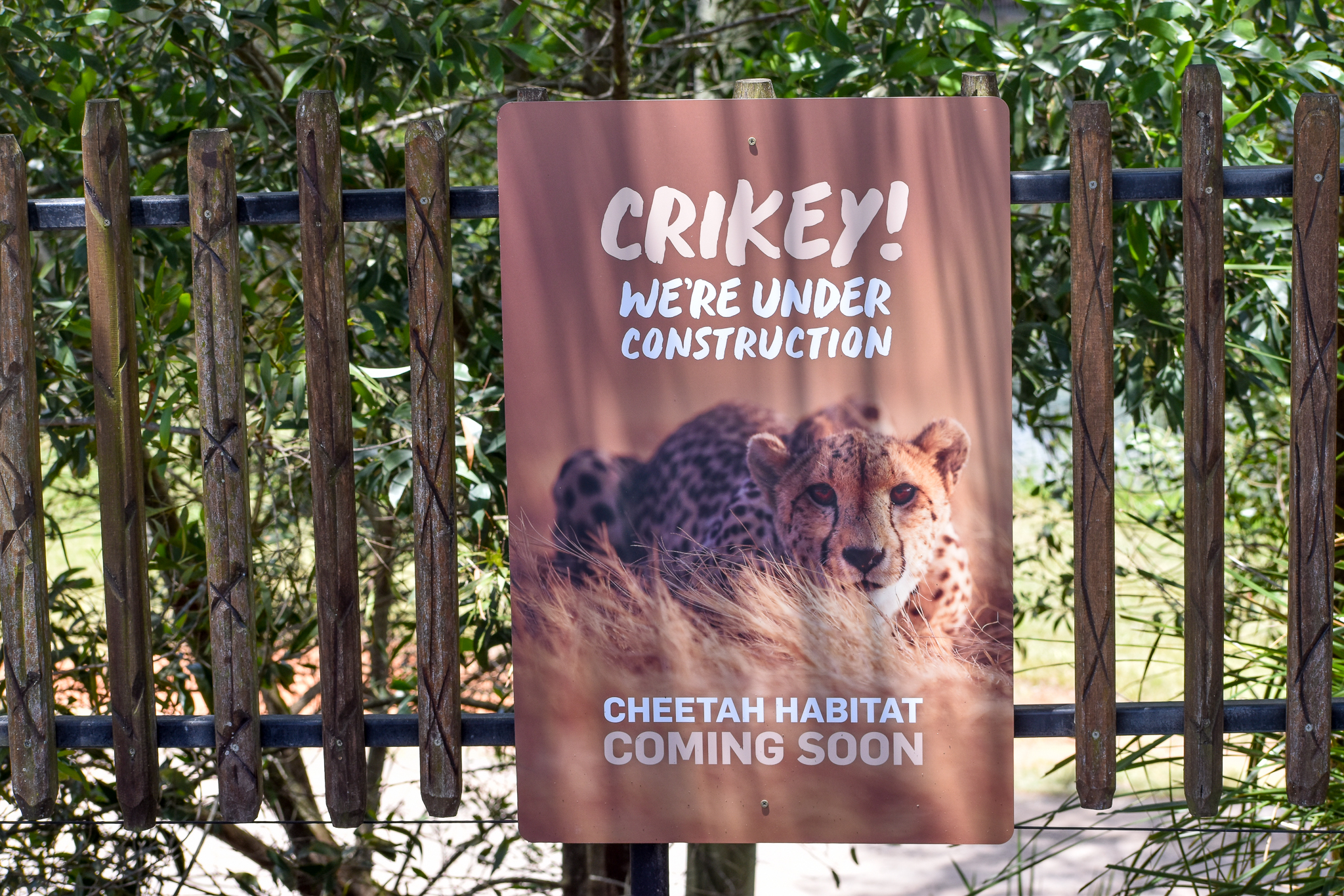 Cheetah Enclosure coming soon